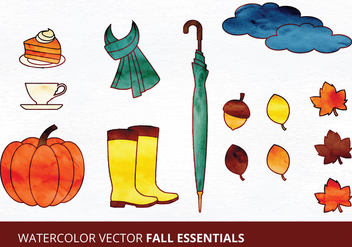 Fall Essentials Vector Illustrations - Free vector #335469