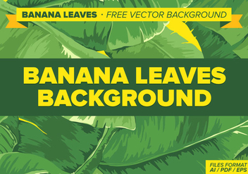 Banana Leaves Free Vector Background - vector gratuit #338379 