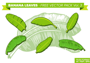 Banana Leaves Free Vector Pack Vol. 3 - vector #341579 gratis