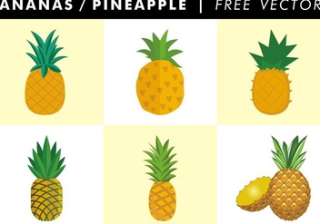 Ananas / Pineapple Free Vector - бесплатный vector #345699