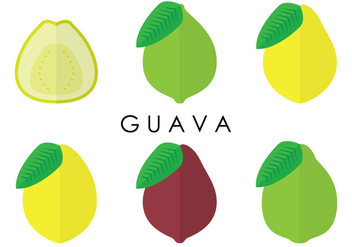 Guava Variants Vectors - Free vector #346719