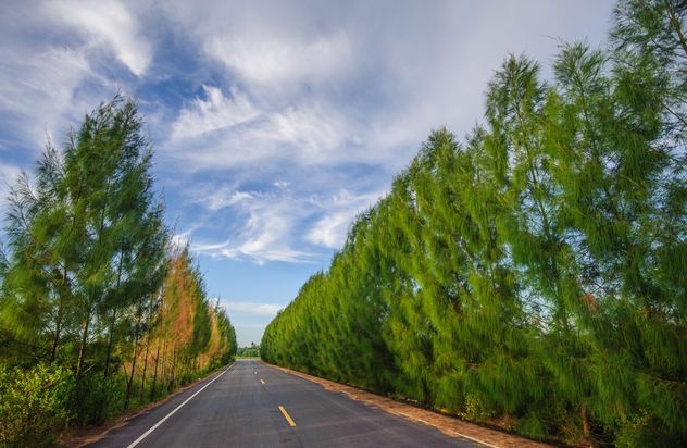 Country road with beautiful nature - Free image #347199