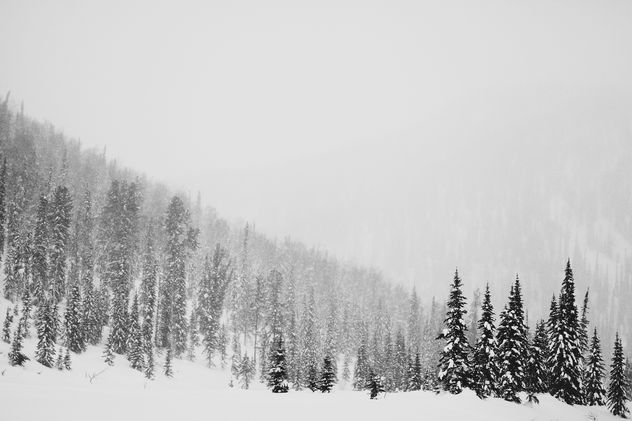 Snow-covered mountains and trees, Siberia,Taiga - Free image #347739