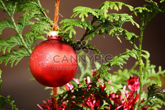 Red Christmas ball on green tree - Kostenloses image #348429