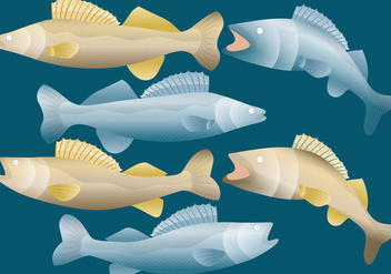 Walleye Fish Vectors - vector gratuit #365039 