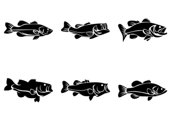 Bass Fish Vector - бесплатный vector #370079