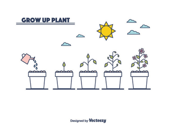 Plant Growth Cycle Vector - Free vector #375549