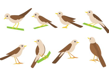 Nightingale Bird Vector Icons - бесплатный vector #375999