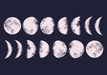Vector Moon Phases - vector gratuit #377399 