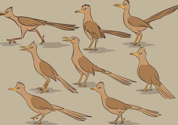 Roadrunner Bird Cartoon Vectors - бесплатный vector #377579