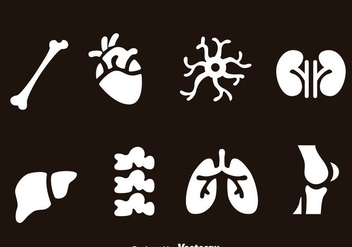 Human Organs Icons - vector #378669 gratis