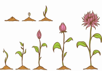 Grow Up Plant Set - Free vector #380599