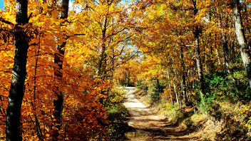 Autumn, colour and nature in Valnerina - Kostenloses image #382419