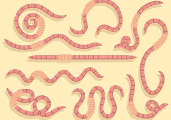 Free Earthworm Icons Vector - Free vector #383869