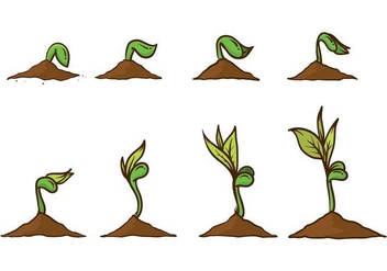 Free Grow Up Plant Vector - Free vector #385259