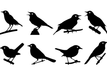 Nightingale Silhouettes Vector - Free vector #386489