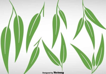 Collection Of Eucalyptus Leaves - Vector - Free vector #386529