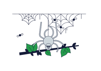 Free Spider Web Vector - Kostenloses vector #388199