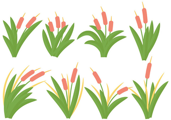 Free Cattails Icon Vector - Kostenloses vector #388349