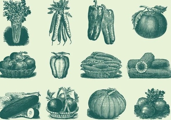Vintage Vegetables - Kostenloses vector #389789