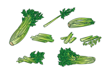 Celery Vector - Kostenloses vector #392639