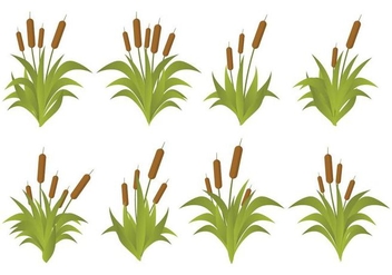 Free Cattails Vector Set - Free vector #393799