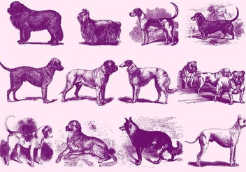 Vintage Purple Dog Illustrations - бесплатный vector #395179