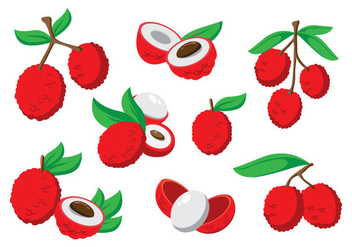 Free Lychee Vector - Free vector #396179