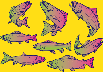 Trout Fish Vector Illustration - бесплатный vector #396359