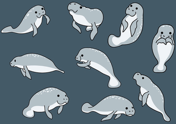 Free Manatee Icons Vector - Free vector #401639
