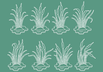 Cattail Vector Icons - Kostenloses vector #401839