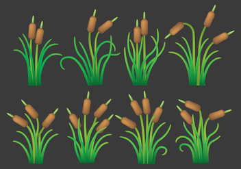 Cattails Vector Icons - Kostenloses vector #401869