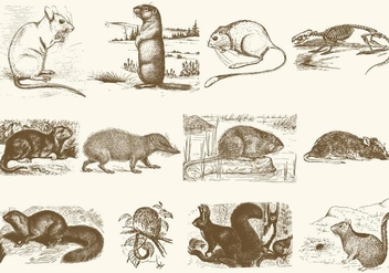 Sepia Rodent Illustrations - Free vector #402699