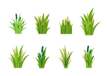 Free Reeds Vector - Free vector #402709