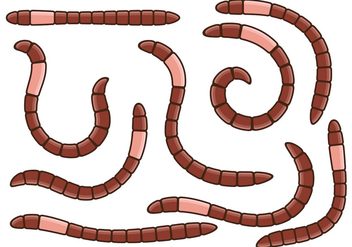 Earthworm Vector - бесплатный vector #403289