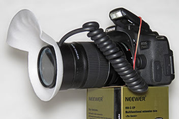 Simple macro gear - Canon 750D with 18-55mm STM lens reversed - image gratuit #405319 