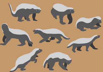Free Honey Badger Icons Vector - Free vector #405999