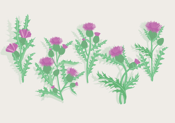 Thistle Vector - Free vector #406949
