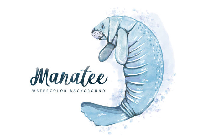 Free Manatee Watercolor Background - Free vector #407329