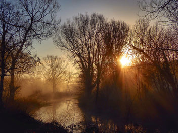 Dawn's early light - бесплатный image #408019