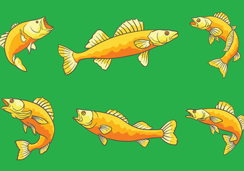 Free Walleye Icons Vector - Free vector #408629