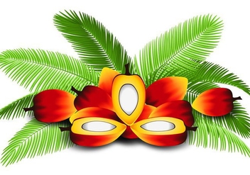 Illustration of Palm Oil - Free vector #408749