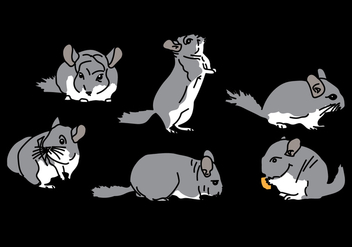Chinchilla Vector Pack 1 - Free vector #408849