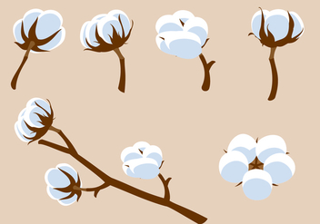 Cotton Flower Free Vector - бесплатный vector #410199