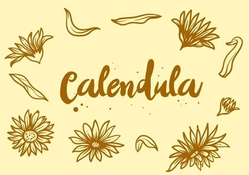 Free Calendula Flower - бесплатный vector #410519