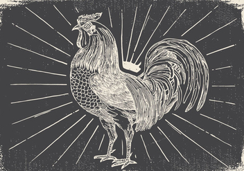 Vintage Rooster Illustration - Free vector #418109