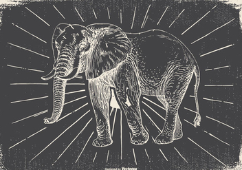 Vintage Elephant Illustration - Free vector #418119