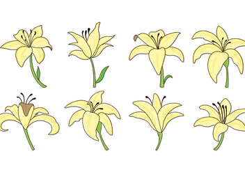 Set Of Easter Lily Icons - Kostenloses vector #419379