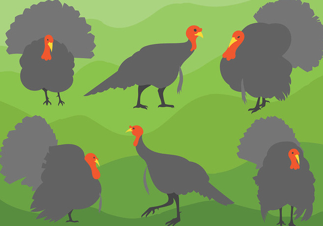 Free Wild Turkey Icons Vector - Free vector #420149