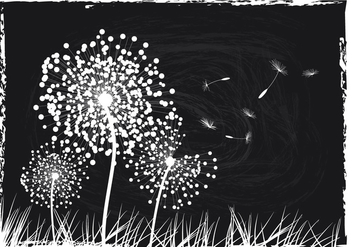 Black And White Dandelion Background - Free vector #423619